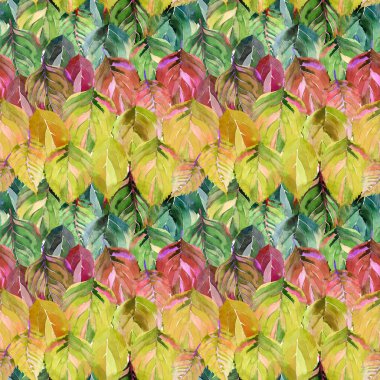 Sonbaharın güzel grup gökkuşağı gibi bırakır. Grafik parlak çiçek bitkisel sonbahar turuncu sarı desen suluboya el kroki bırakır. Tekstil, duvar kağıtları, kağıt sarma için mükemmel