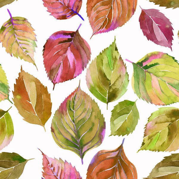 美丽可爱可爱美妙的图形鲜艳的花卉草药秋季橙绿色黄叶图案水彩手素描 完美的纺织品 包装纸 — 图库照片