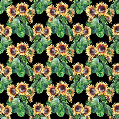 Güzel parlak grafik sonbahar harika renkli sarı turuncu bitkisel çiçek ayçiçeği suluboya el illüstrasyon koyu arka plan üzerinde yeşil yaprak desenli. Mükemmel tebrik kartı, tekstil, duvar kağıtları için