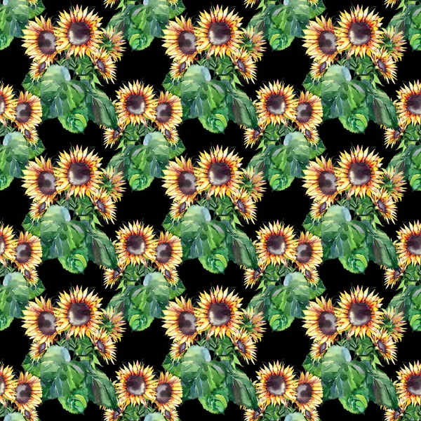 Beautiful bright graphic autumn wonderful colorful yellow orange herbal floral sunflowers with green leaves pattern on dark background watercolor hand illustration. Perfect for greetings card, textile, wallpapers