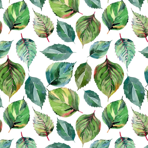 Güzel güzel şirin harika grafik parlak çiçek bitkisel sonbahar turuncu yeşil sarı desen suluboya el kroki bırakır. Tekstil, duvar kağıtları, kağıt sarma için mükemmel