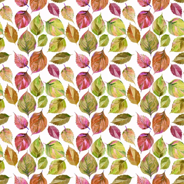Schöne schöne niedliche wunderbare Grafik helle Blumen Kräuter Herbst orange grün gelb Blätter Muster Aquarell Handskizze. perfekt für Textilien, Tapeten, Packpapier — Stockfoto