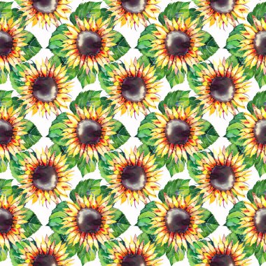 Güzel parlak grafik sonbahar harika renkli sarı turuncu bitkisel çiçek ayçiçeği yeşil yaprakları geometrik desen suluboya çizimi uzat. Mükemmel tebrik kartı, tekstil, duvar kağıtları için