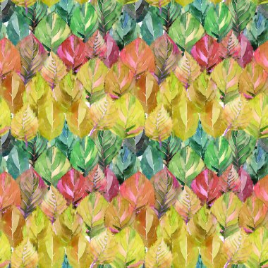 Sonbaharın güzel grup gökkuşağı gibi bırakır. Grafik parlak çiçek bitkisel sonbahar turuncu sarı desen suluboya el kroki bırakır. Tekstil, duvar kağıtları, kağıt sarma için mükemmel