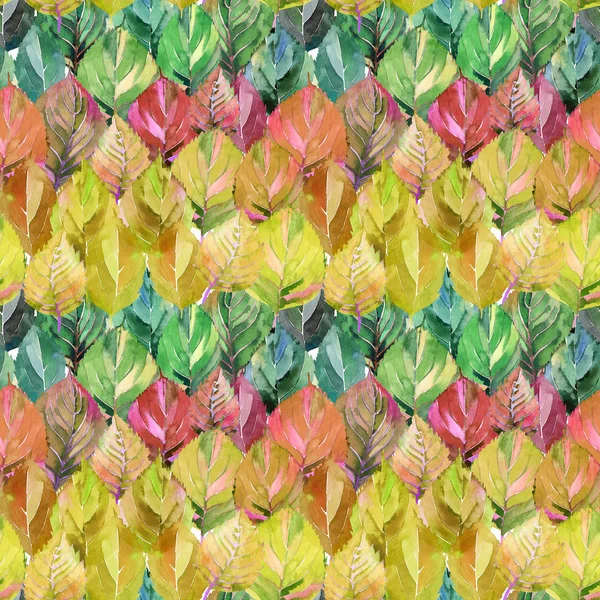 可爱的一群秋叶像彩虹 图形鲜艳的花草秋橙黄叶图案水彩手素描 完美的纺织品 包装纸 — 图库照片
