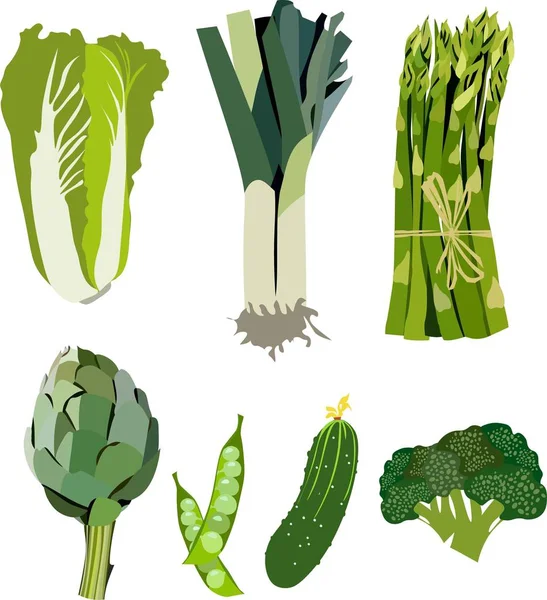 Hermoso Patrón Saludable Vegetariano Verde Gráfico Brillante Verduras Orgánicas Chalota — Vector de stock