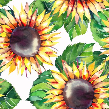 Güzel parlak grafik sonbahar harika renkli sarı turuncu bitkisel çiçek ayçiçeği yeşil yaprakları geometrik desen suluboya çizimi uzat. Mükemmel tebrik kartı, tekstil, duvar kağıtları için