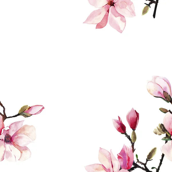 Lovely Ніжний Трав Яний Прекрасний Квіткові Пропозиціями Кадр Рожевий Японський — стокове фото