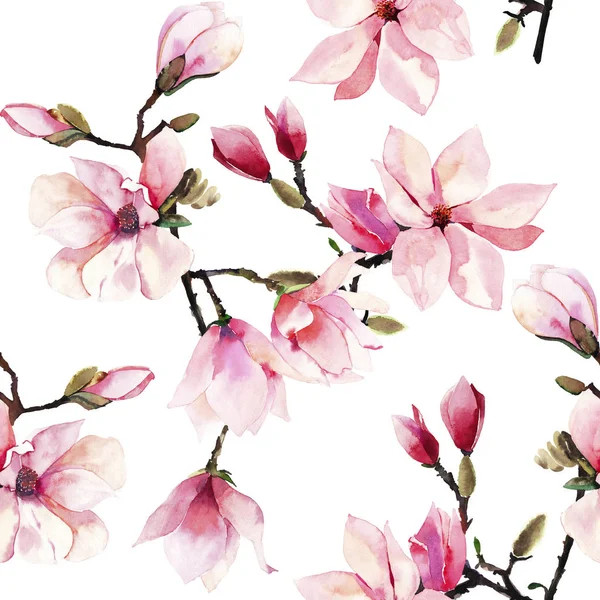 美丽可爱的柔嫩的草药美妙的花卉夏季图案的粉红色的日本木兰花水彩画手的插图 适用于纺织品 邀请函 包装纸 电话亭 — 图库照片