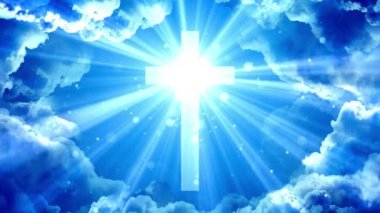 Göksel şanlı çapraz