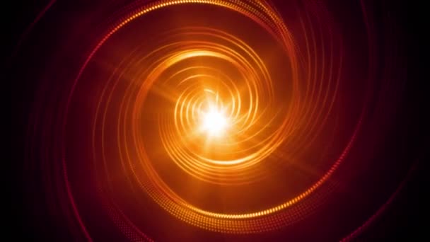 Centre Focus Tordeuses 