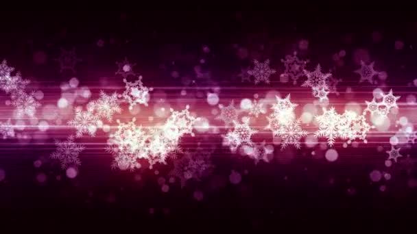 Fashion Christmas Snow Flakes — Stock Video