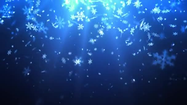 Düşen kış kar pul — Stok video