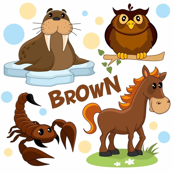 Set Brown Cartoon Pictures Birds Insects Animals Children Design Walrus — Stock Vector