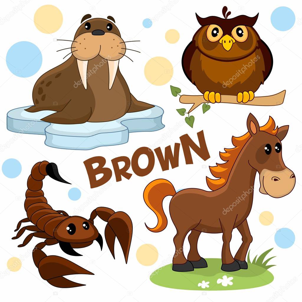 A set of brown, cartoon pictures with birds, insects and animals for children and design, a walrus on an ice floe, a horse, an owl sits on a branch and a scorpion.