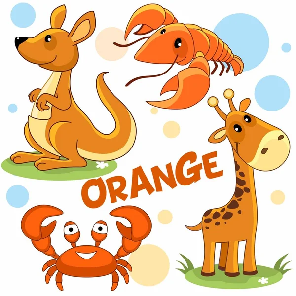 Een Reeks Van Kleurrijke Oranje Illustraties Met Dieren Weekdieren Voor — Stockvector