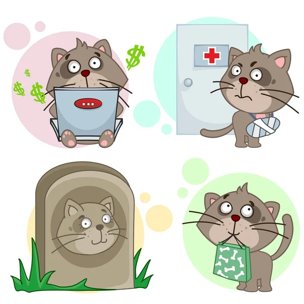 Eleventh Collection Icons Design Cats Character Package Purchases Computer Running — Stock Vector