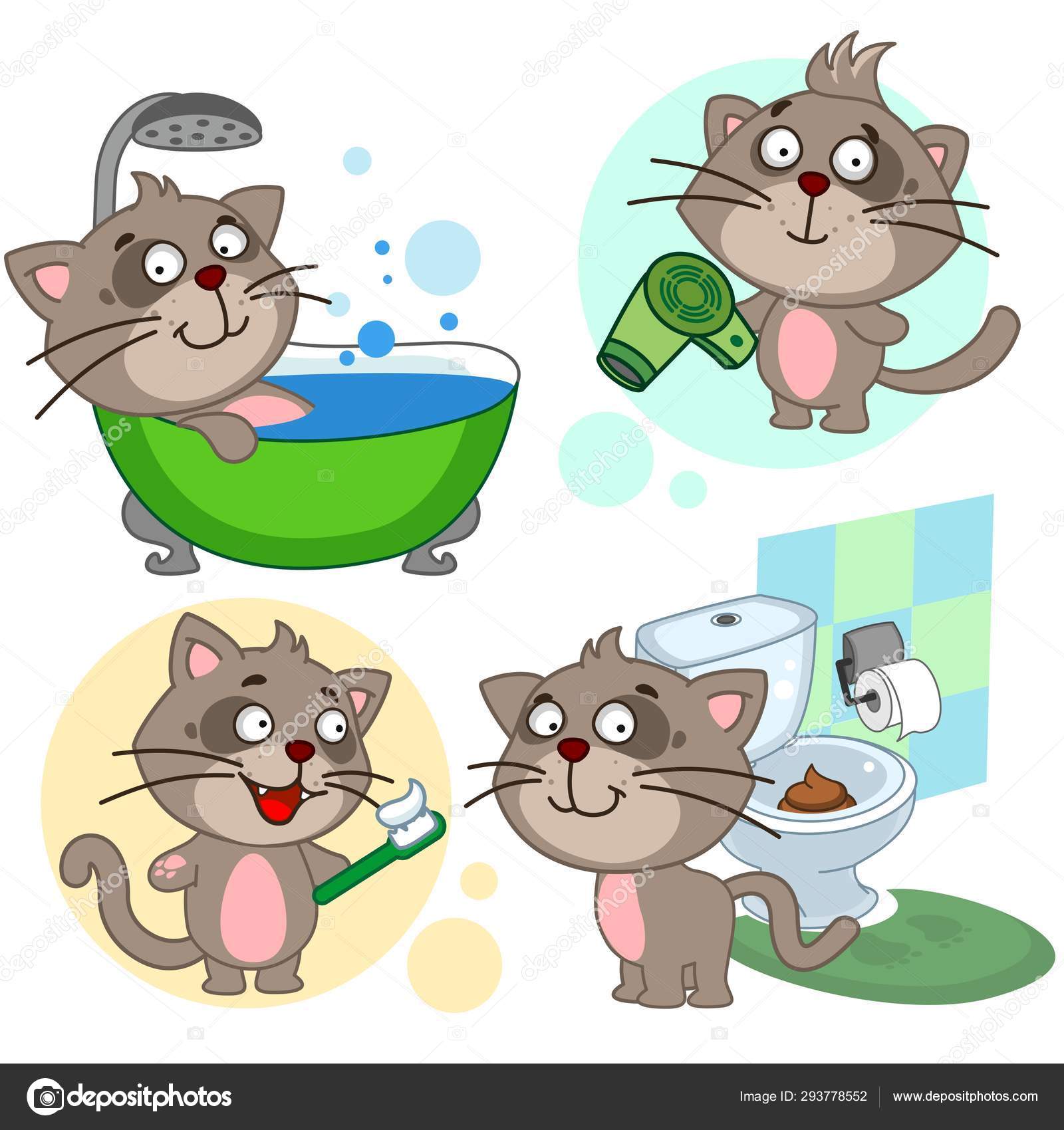 Wet Cat Clipart