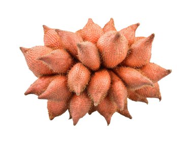 feragat, Salak veya Tayland Sala meyvesi beyaz arka plan üzerinde izole