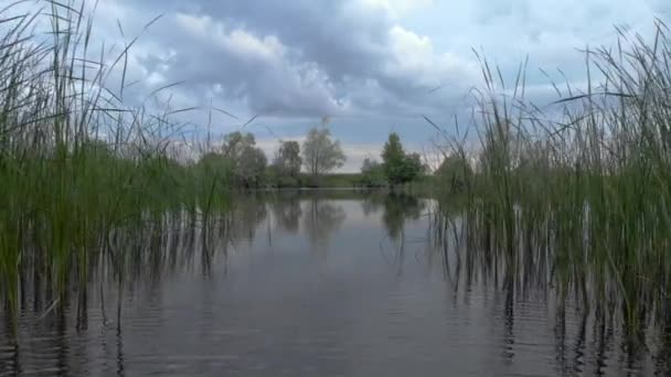 Sabahın erken saatlerinde Çok Güzel Göl — Stok video