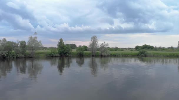 Vlieg van het meer naar het bos — Stockvideo