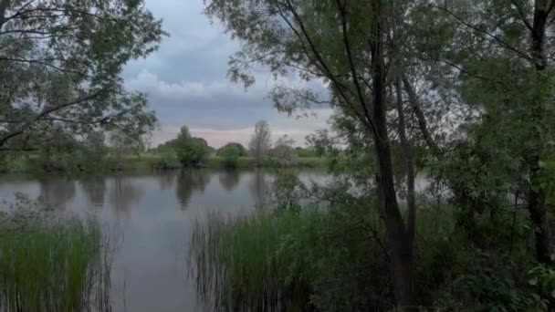 Van het bos vliegen naar het meer — Stockvideo