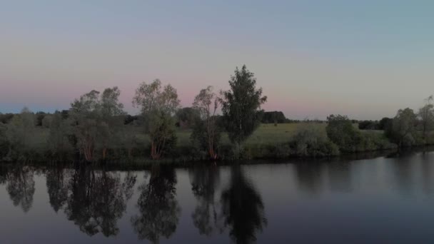 Panorama da floresta no rio — Vídeo de Stock