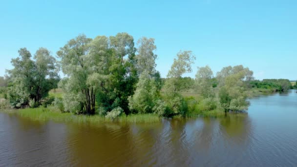 Naviguez sur une journée lumineuse parmi les arbres verts