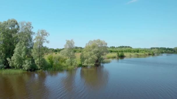 Belle vue sur les arbres sur la rivière