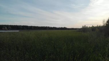 Göldeki çimlerin üzerinde uç