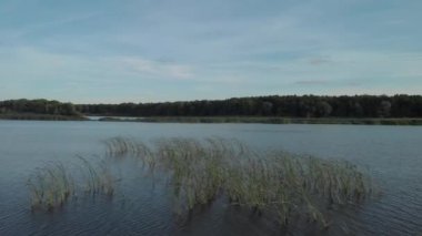 Göl üzerinden ormana uç.