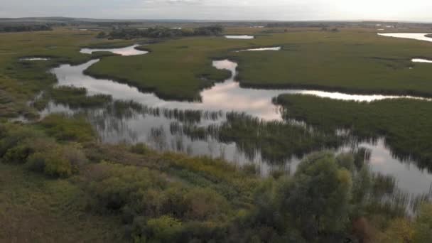 Kilátás a zöld folyóra egy drónról — Stock videók