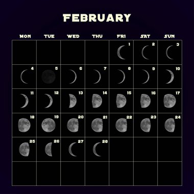 Moon aşama takvim 2019 gerçekçi moon ile için. Şubat. Vektör.