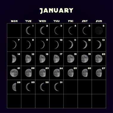 Moon aşama takvim 2019 gerçekçi moon ile için. Ocak. Vektör.