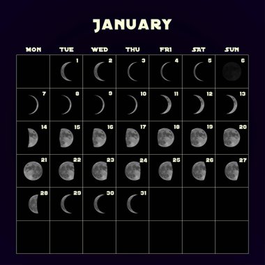Moon phases calendar for 2019 with realistic moon. January. Vector. clipart