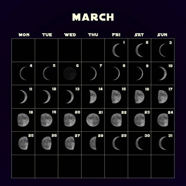 Moon aşama takvim 2019 gerçekçi moon ile için. Mart. Vektör.