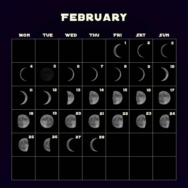 Calendario fasi lunari per il 2019 con luna realistica. Febbraio. Vettore . — Vettoriale Stock