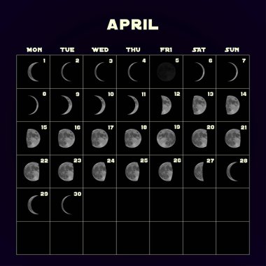 Moon phases calendar for 2019 with realistic moon. April. Vector. clipart