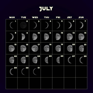 Moon aşama takvim 2019 gerçekçi moon ile için. Temmuz. Vektör.