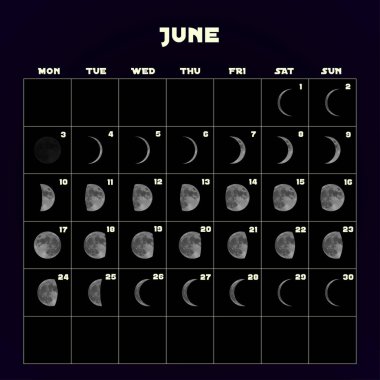 Moon aşama takvim 2019 gerçekçi moon ile için. Haziran. Vektör.