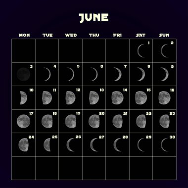 Moon phases calendar for 2019 with realistic moon. June. Vector. clipart