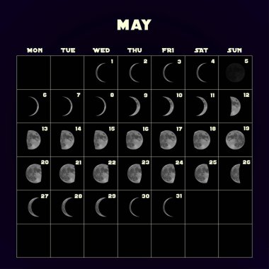 Moon aşama takvim 2019 gerçekçi moon ile için. Olabilir. Vektör.