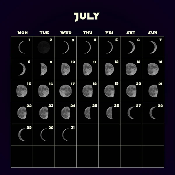 Moon phases calendar for 2019 with realistic moon. July. Vector. — Stock Vector