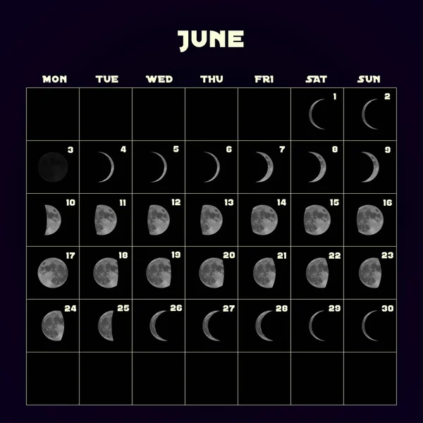 Mondphasenkalender für 2019 mit realistischem Mond. Juni. Vektor. — Stockvektor