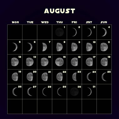 Moon aşama takvim 2019 gerçekçi moon ile için. Ağustos. Vektör.