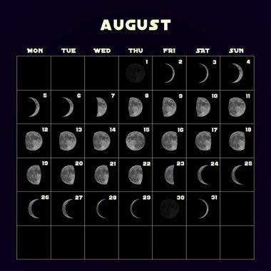 Moon phases calendar for 2019 with realistic moon. August. Vector. clipart