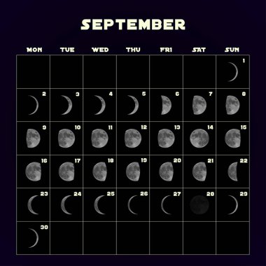 Moon aşama takvim 2019 gerçekçi moon ile için. Eylül. Vektör.
