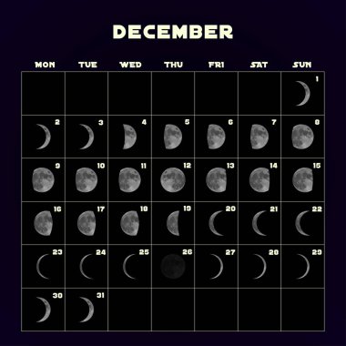 Moon aşama takvim 2019 gerçekçi moon ile için. Aralık. Vektör
