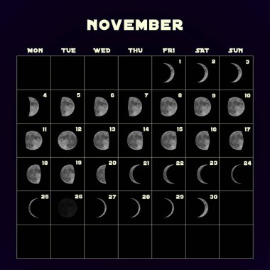 Moon aşama takvim 2019 gerçekçi moon ile için. Kasım. Vektör