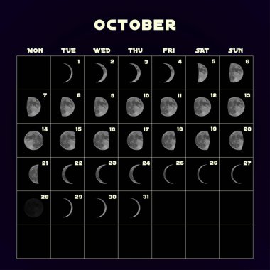 Moon aşama takvim 2019 gerçekçi moon ile için. Ekim. Vektör